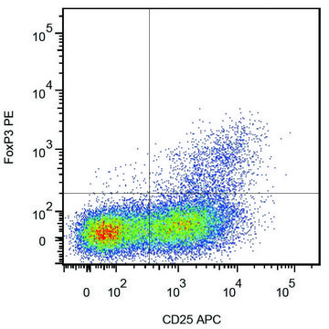 Monoclonal Anti-FOXP3-PE antibody produced in