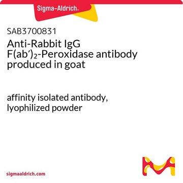 Anti-Rabbit IgG F(ab?)?-Peroxidase antibody produced