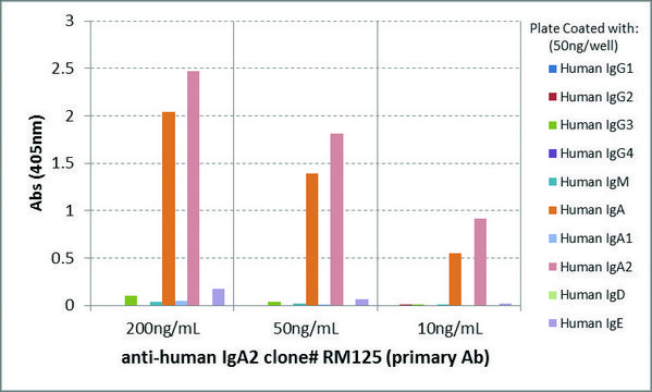 Anti-Human IgA2-Biotin antibody, Rabbit monoclonal