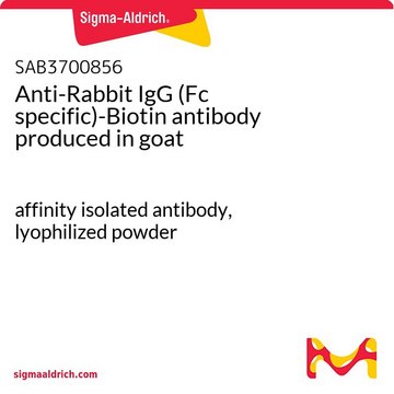 Anti-Rabbit IgG (Fc specific)-Biotin antibody