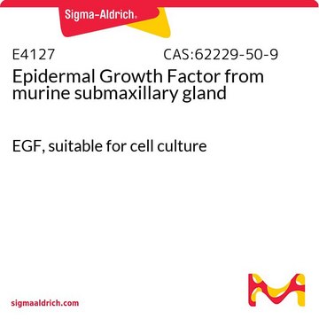 Epidermal Growth Factor from murine