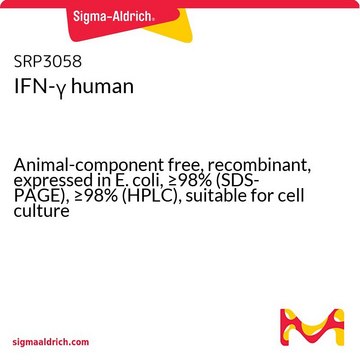 IFN-? human