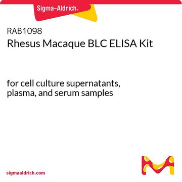 Rhesus Macaque BLC ELISA Kit