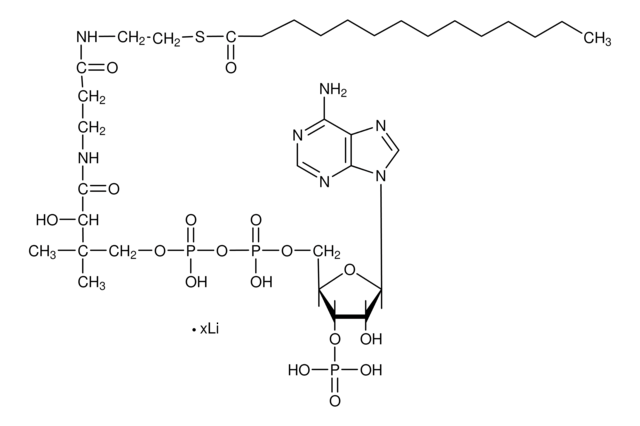 Myristoyl coenzyme A lithium salt