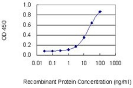 Monoclonal Anti-ASB2 antibody produced in
