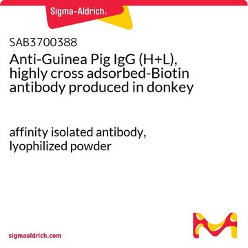 Anti-Guinea Pig IgG (H+L), highly