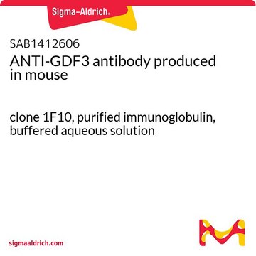 ANTI-GDF3 antibody produced in mouse