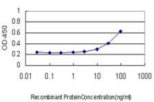 Monoclonal Anti-PDK1 antibody produced in