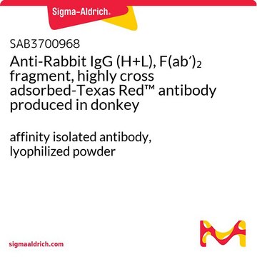 Anti-Rabbit IgG (H+L), F(ab?)? fragment,