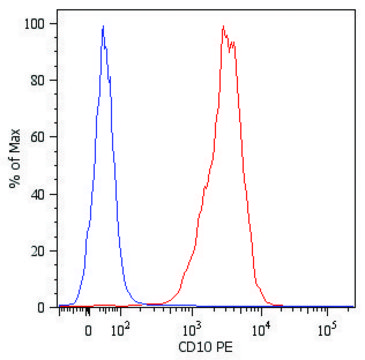 Monoclonal Anti-CD10-PE antibody produced in