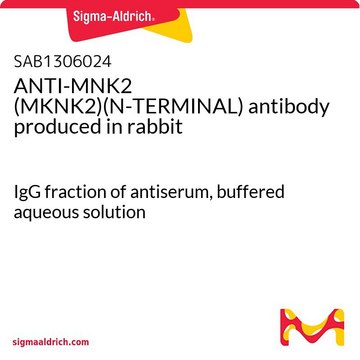 ANTI-MNK2 (MKNK2)(N-TERMINAL) antibody produced in