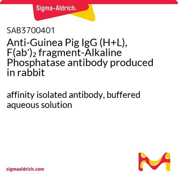 Anti-Guinea Pig IgG (H+L), F(ab?)?