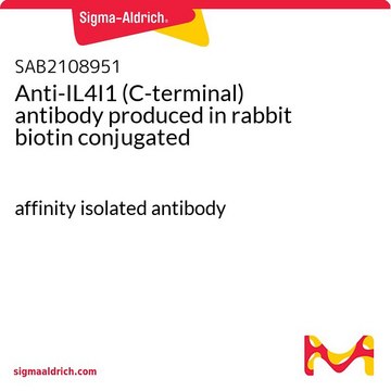 Anti-IL4I1 (C-terminal) antibody produced in