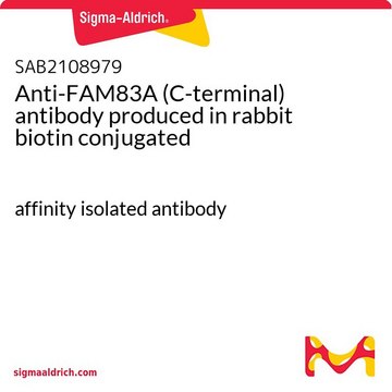 Anti-FAM83A (C-terminal) antibody produced in