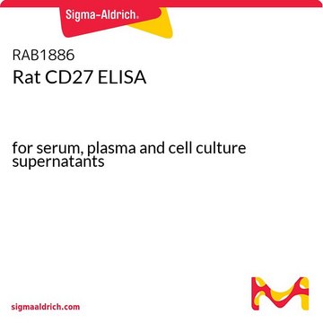 Rat CD27 ELISA