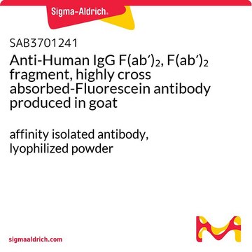 Anti-Human IgG F(ab?)?, F(ab?)? fragment,