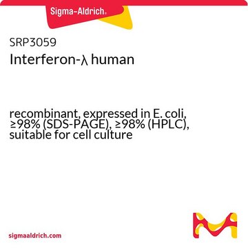 Interferon-? human