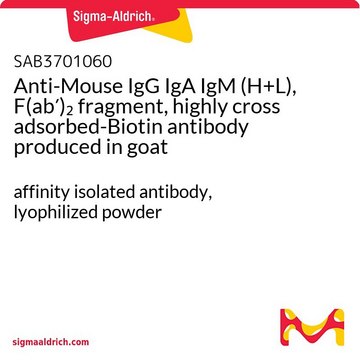 Anti-Mouse IgG IgA IgM (H+L),