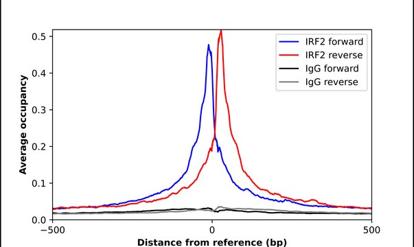 Anti-IRF2 antibody produced in rabbit