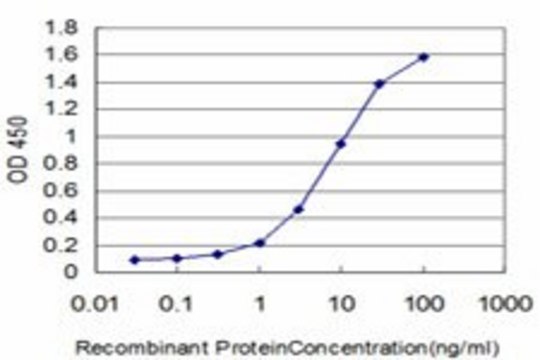Monoclonal Anti-FOXQ1 antibody produced in