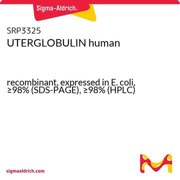 UTERGLOBULIN human