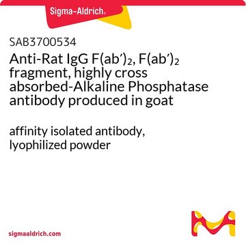 Anti-Rat IgG F(ab?)?, F(ab?)? fragment,