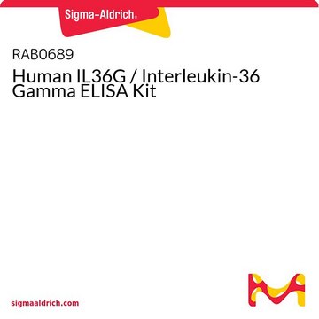 Human IL36G / Interleukin-36 Gamma