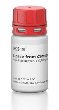 Lipase from Candida rugosa