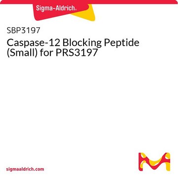 Caspase-12 Blocking Peptide (Small) for