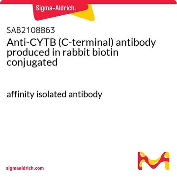 Anti-CYTB (C-terminal) antibody produced in