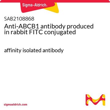 Anti-ABCB1 antibody produced in rabbit