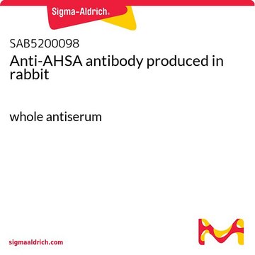 Anti-AHSA antibody produced in rabbit