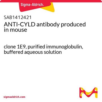 ANTI-CYLD antibody produced in mouse