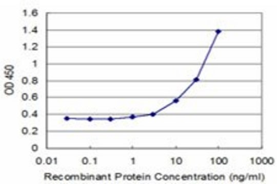 Monoclonal Anti-GRN, (C-terminal) antibody produced
