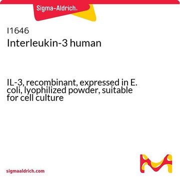 Interleukin-3 human