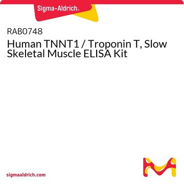 Human TNNT1 / Troponin T,