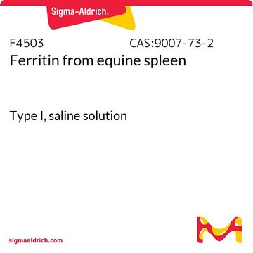 Ferritin from equine spleen