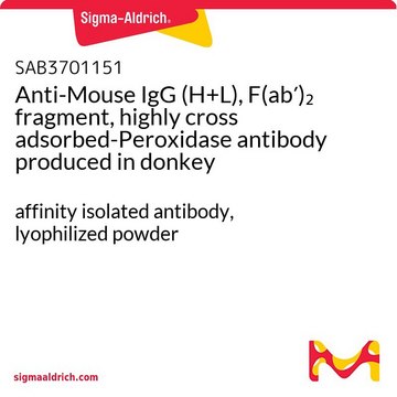 Anti-Mouse IgG (H+L), F(ab?)? fragment,