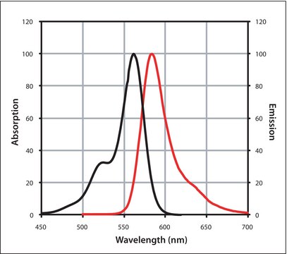 Mix-n-Stain™ CF™ 568 Antibody Labeling
