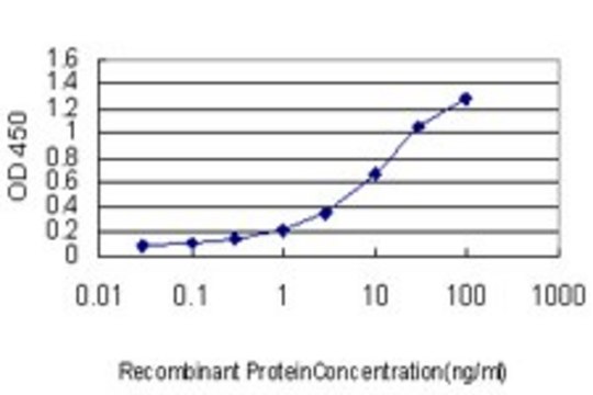 Monoclonal Anti-ARHGDIA antibody produced in