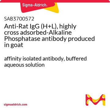 Anti-Rat IgG (H+L), highly cross
