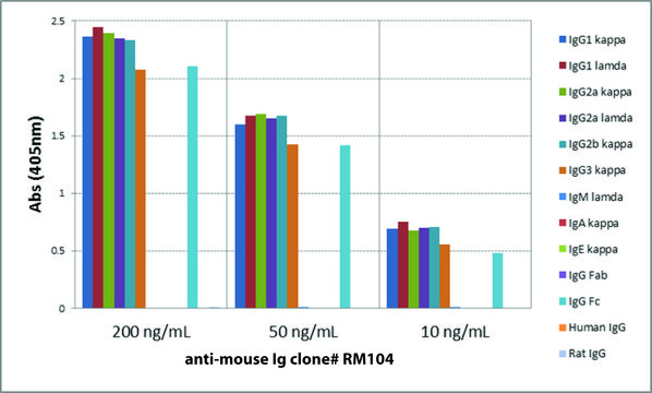 Anti-Mouse IgG-Biotin antibody, Rabbit monoclonal