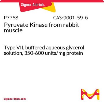 Pyruvate Kinase from rabbit muscle