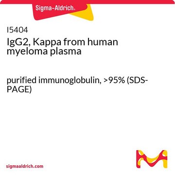 IgG2, Kappa from human myeloma