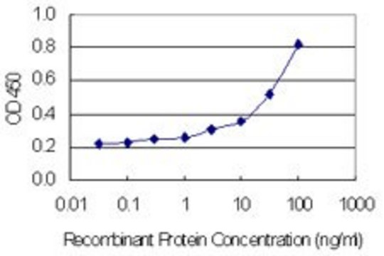 Monoclonal Anti-ENTPD3 antibody produced in