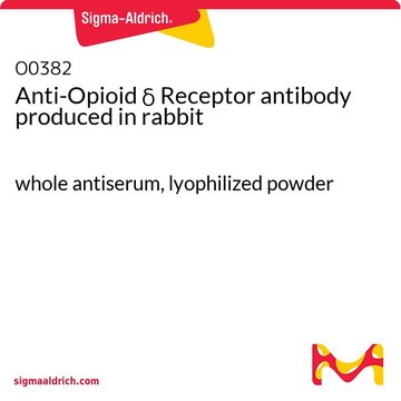 Anti-Opioid ? Receptor antibody produced