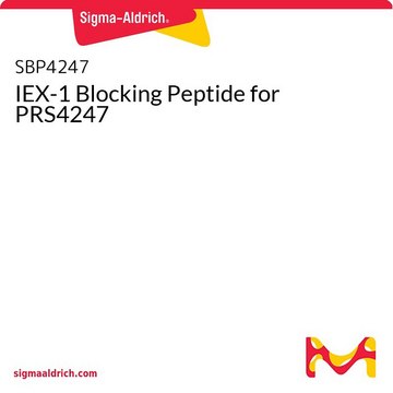 IEX-1 Blocking Peptide for PRS4247