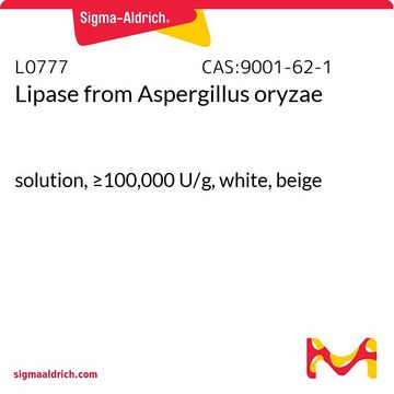 Lipase from Aspergillus oryzae