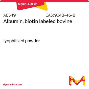 Albumin, biotin labeled bovine