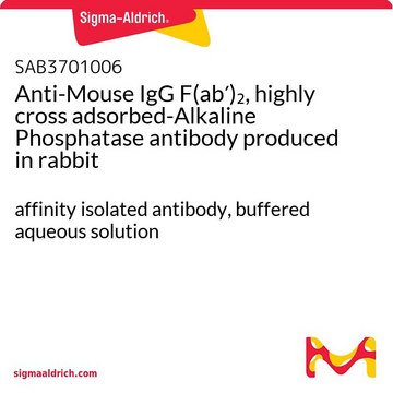 Anti-Mouse IgG F(ab?)?, highly cross